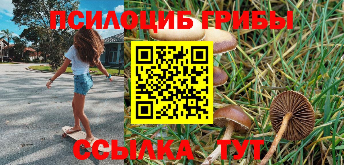 Галлюциногенные грибы мицелий  Вход с VPN  Нарткала 